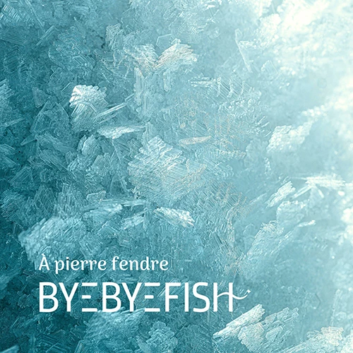 À pierre fendre - Byebyefish