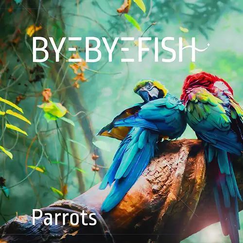 Parrots - Byebyefish